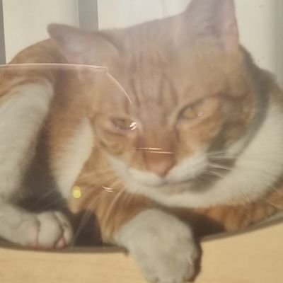 atamachi29's profile picture. 커미션계