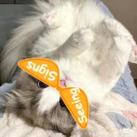 Mira signs🧡👀 (@mira123456123) 's Twitter Profile