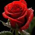 Khan Sumon (@khansumon616389) Twitter profile photo Khan Sumon (@khansumon616389) Twitter profile photo