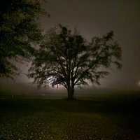 Sarah Burgess (@sarahburge84080) 's Twitter Profile