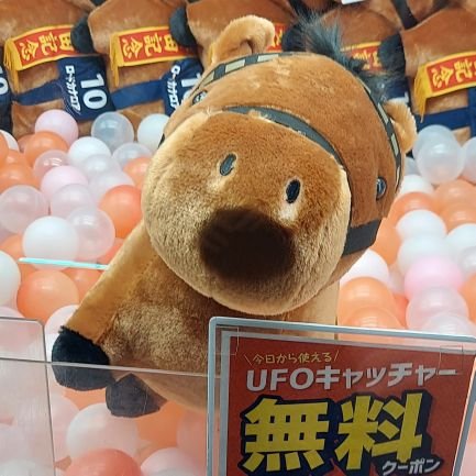 uhauha1022's profile picture. ふーがです
 よろしくお願いします🙏scs3
 #春から筑波