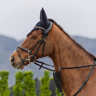 mosan_tk's profile picture. 2023年大阪杯から競馬の撮影を始めた者です。
写真共有したい系スイーツ大好きマン。
申し訳無いですが無言フォローさせて頂いております。無言フォローも大歓迎です（エロ、勧誘系はお断り）
サブ垢https://t.co/0NCbgr5bi1
　　愛機　α1
