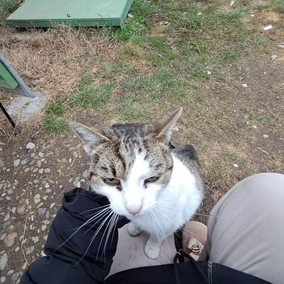 Niki4022's profile picture. 