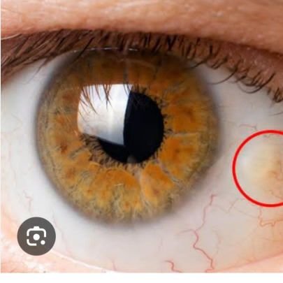 ClipSmiled44833's profile picture. 