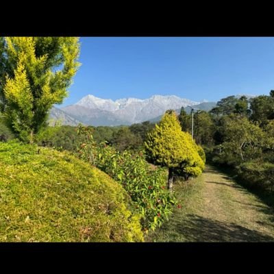 RanaAnkit6's profile picture. Student