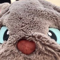 もち🏰4/12 臨時休業中 (@chiplover_new) 's Twitter Profile