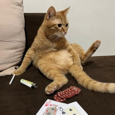 ramonna_f's profile picture. 