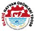 Elazığ Hayvan Ürünleri TDİ OSB (@elazighutdiosb) Twitter profile photo Elazığ Hayvan Ürünleri TDİ OSB (@elazighutdiosb) Twitter profile photo