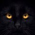 HelzEls (@helanz_) Twitter profile photo HelzEls (@helanz_) Twitter profile photo