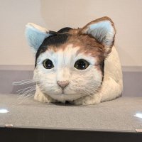 @副業戦士 (@9735daimon) 's Twitter Profile