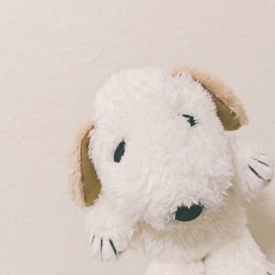 shuonixxx's profile picture. '97 / 中性♀ / ISFP / 日常のつぶやき🐑/ 📷☕🎥🍺