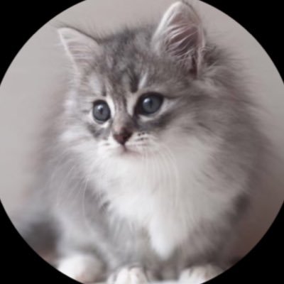 1febg's profile picture. 