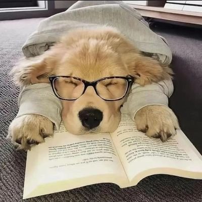 tqs3402's profile picture. 刚入行的小白 冲金狗