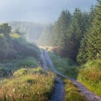 Mountain Man (@fearonsliabh) 's Twitter Profile