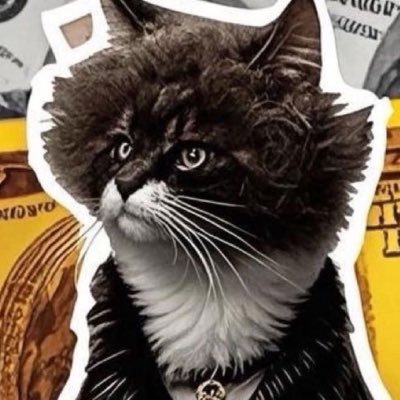 ldqyLD's profile picture. 