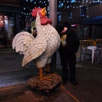 Petter Bradders (@petterbradders) 's Twitter Profile Photo Petter Bradders (@petterbradders) 's Twitter Profile Photo
