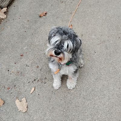 ChrisL1775's profile picture. God is good, father of two, husband of one, USMC, USA is the best country the world has ever seen.
Doing hard shit is good for you.