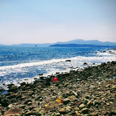 HYS890202's profile picture. 賢い選択が常に正しいとは限らないように，愚かな選択が間違ってるとも限らない。