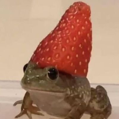 heylol06's profile picture. ya no