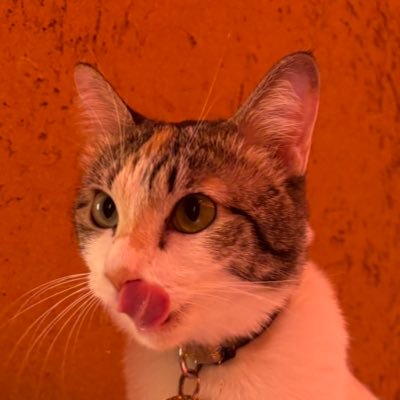 Kyuさんのプロフィール画像
