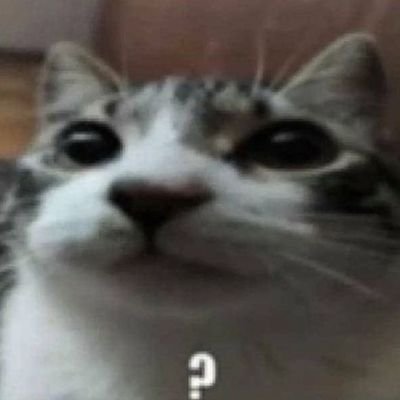 k_shvn's profile picture. 19 | 3rd yr ug | i do aiml stuff and rant about my college