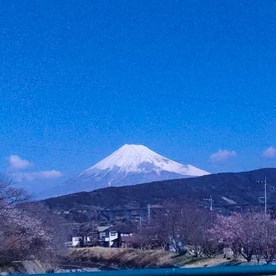 旅行兄さん (@6d1ch) / Posts / X