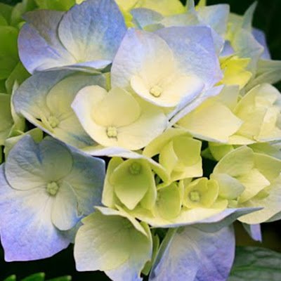 Baburaj190's profile picture. 