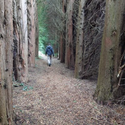 Bar course and GPP graduate. pupillage applicant. Interests law, political theory, public policy and badminton. should start a TWellsPublicPolicyBlog