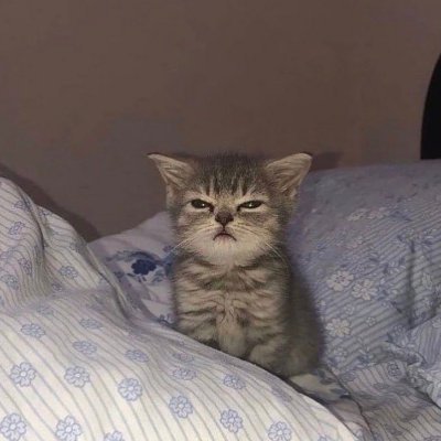 enerochen's profile picture. dc; binbetrunken