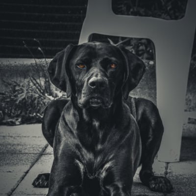 Erika_btn's profile picture. 