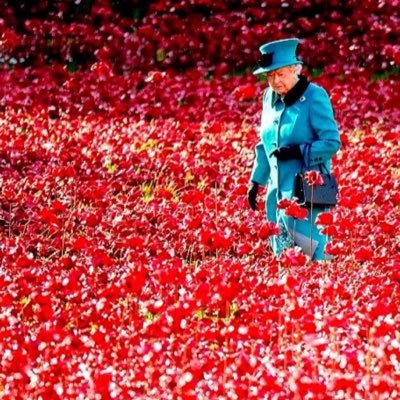 ❤️🏴❤️🇬🇧🇺🇸🇮🇱🇦🇺🇨🇦🏴🇯🇪- adult human female - Brexit 👍🏻 net zero👎🏻 No DM’s - @_AdvanceUK member