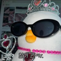 동태가 된 생갈치 (@rollup__0507) 's Twitter Profile