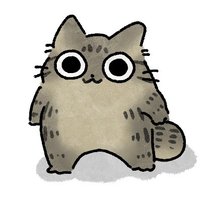 ねこぽっくる (@pokkurcat) 's Twitter Profile Photo