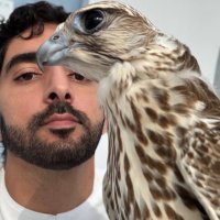 Princefazza (@princefazz43734) 's Twitter Profile