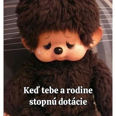 Raifuenjoyer's profile picture. I'm a Trump supporter from Europe. I do not want a progressive government in my country. And I'm glad that we are holding the line.