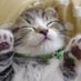るー😺☘️ (@ruu119432) Twitter profile photo るー😺☘️ (@ruu119432) Twitter profile photo