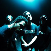 Thin the Herd (@thintheherdband) 's Twitter Profile