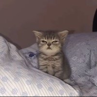 Aryam (@aryam_1911) 's Twitter Profile