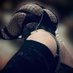 ๐โ ๏ธKylieโ ๏ธ๐ (@kyliesissy00) Twitter profile photo ๐โ ๏ธKylieโ ๏ธ๐ (@kyliesissy00) Twitter profile photo