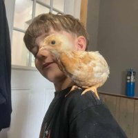 Single Boyfriend 🦦 (@sbf0001) 's Twitter Profile