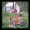 thebuuck's profile picture. Prepping !!
In the woods🦌 or on the beach 🏖
going camping 🔥
#AmericaFirst  🇺🇸 aka  #NB .... #1A #2A #kag  #MAHA
#PureBlood #snowbird
#jeepin in Ohio😎