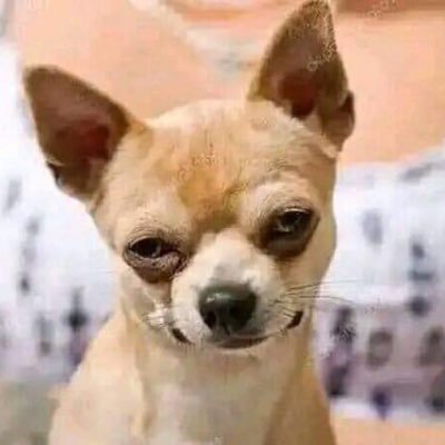 letscruisee's profile picture. Just here for fun🙂‍↔️✌️