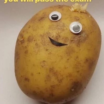 mimimip0's profile picture. #Dek69  ° sci–math ° goal : vet(⭐️) | med | medtech → CMU(⭐️) , MU , CU , KU