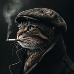 Yanigos's profile picture. 