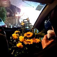 kia (@mahankian1) 's Twitter Profile