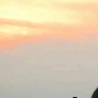 mya (@lamb_6622) 's Twitter Profile