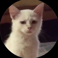 TT (@_tthanya) 's Twitter Profile