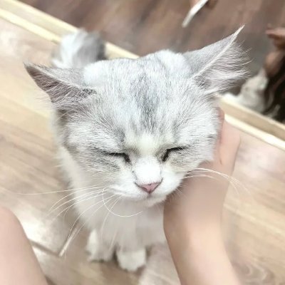 #付費約會
沒有適不適合 只有願不願意~
可能你經常約個人兼職 踩雷
配合過外送 也讓你失望過
我這邊是自己跟姐妹經營的小茶坊
小姐都是本人親自應徵
各種高檔正妹 可以給蹦蹦一次機會嗎
Tg:https://t.co/38qypLl2tY
Gleezy:bb785bb
