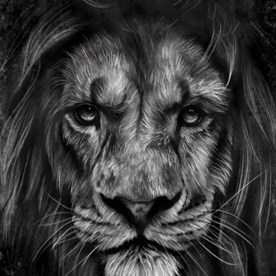 TimReid589's profile picture. 