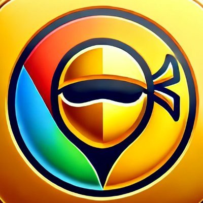 Metanet Ninja Profile